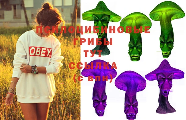 прущие крисы Киренск