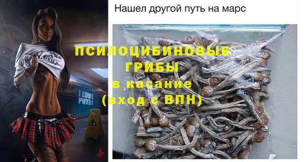 амф Киреевск