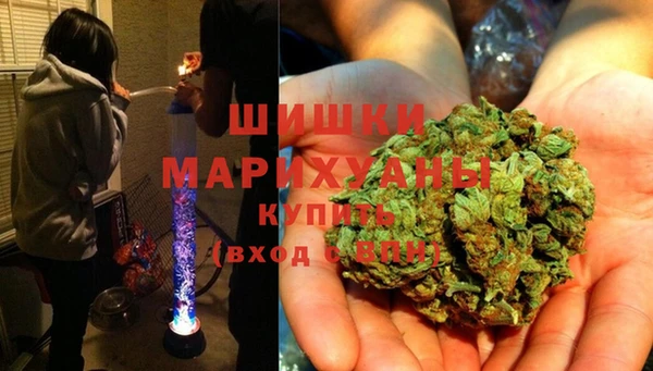 прущие крисы Киренск