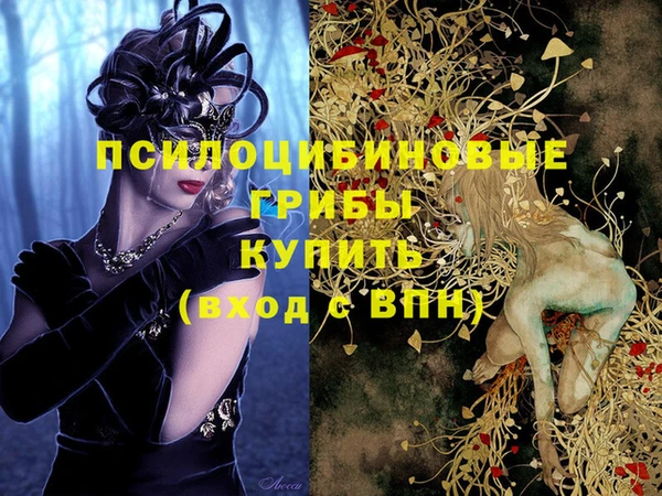 амф Киреевск