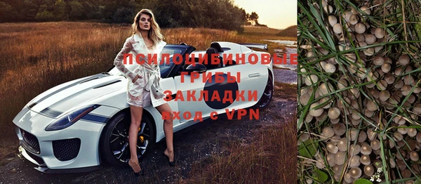 амф Киреевск